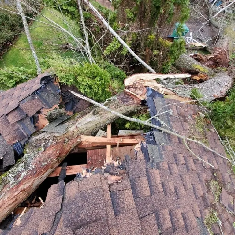 storm-damage-pdx-768x768