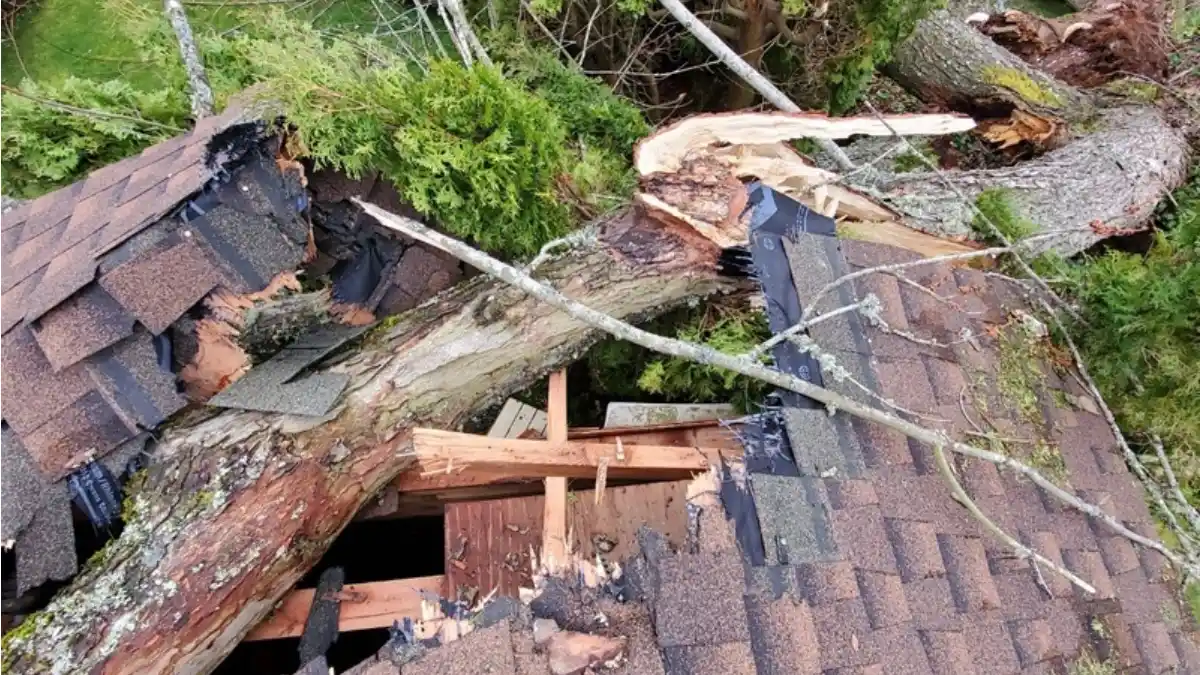 Hail Damage Roof Inspections |  A Comprehensive Guide