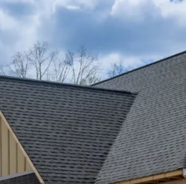 Discolored Roof Shingles