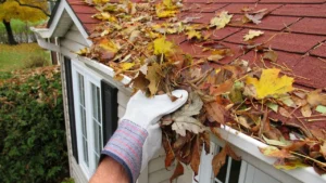 Fall Roof Maintenance: 5 Things You Should Do Right Now