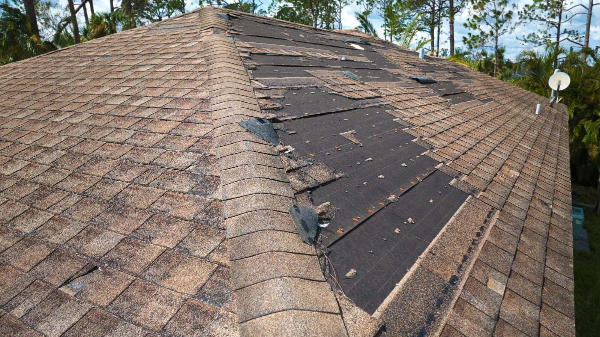 Will My Roof Leak with Missing Shingles?