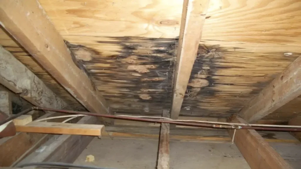 Can hail damage cause roof leaks