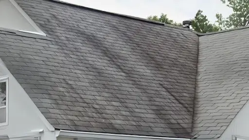 how-to-remove-black-stains-from-your-roof