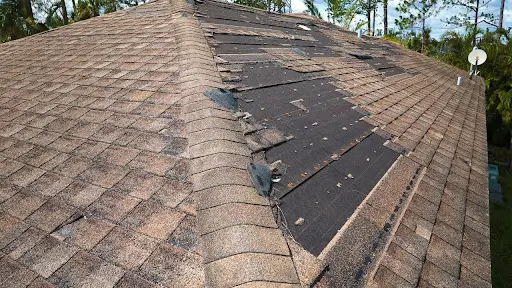 mold-on-roof-shingles