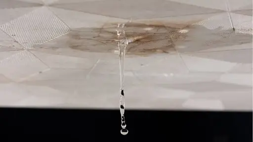 roof-leaks