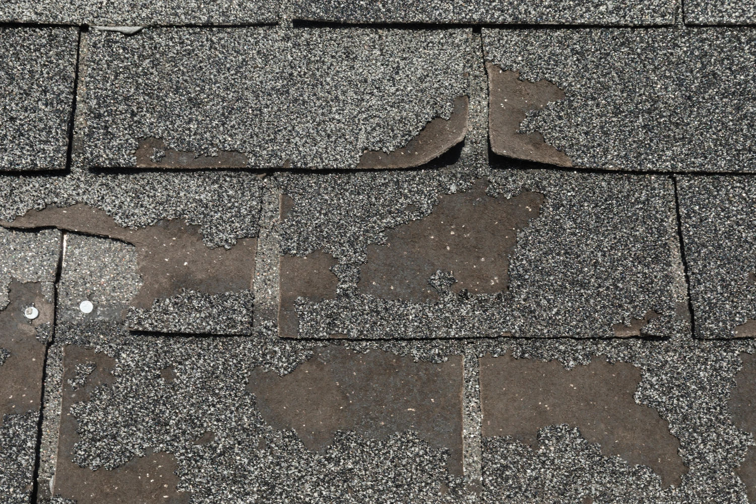 granular-loss-in-roof