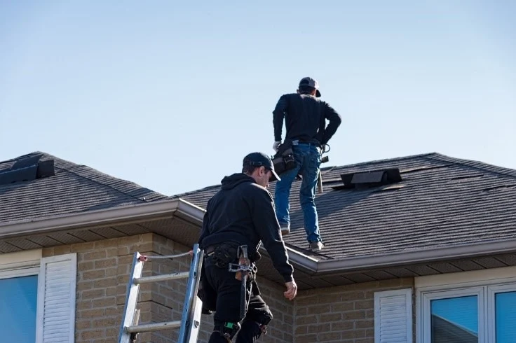 roof-maintenance